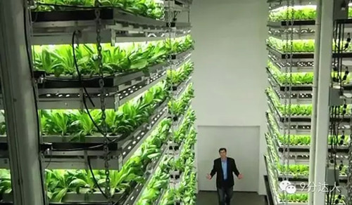 雅思聽力考試素材