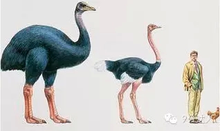 雅思聽力考試素材