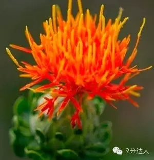 雅思聽力考試素材