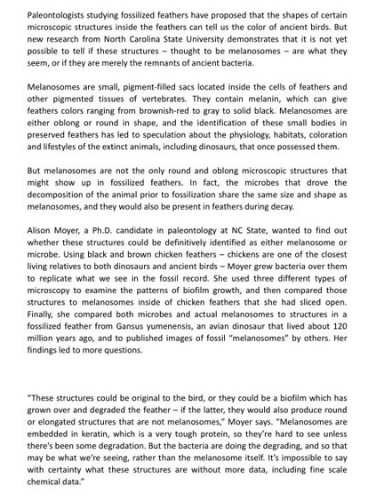 5.4日SAT考試閱讀部分