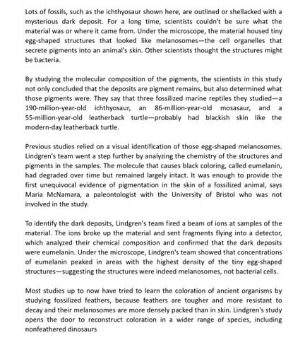 5.4日SAT考試閱讀部分